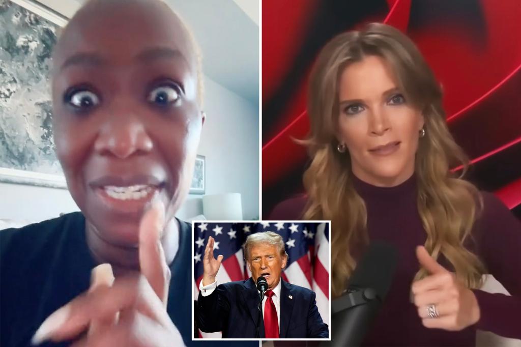 Megyn Kelly predicts MSNBC will fire 'racist' Joy Reid for saying Trump will deport 'brown people': 'She wants a race riot'