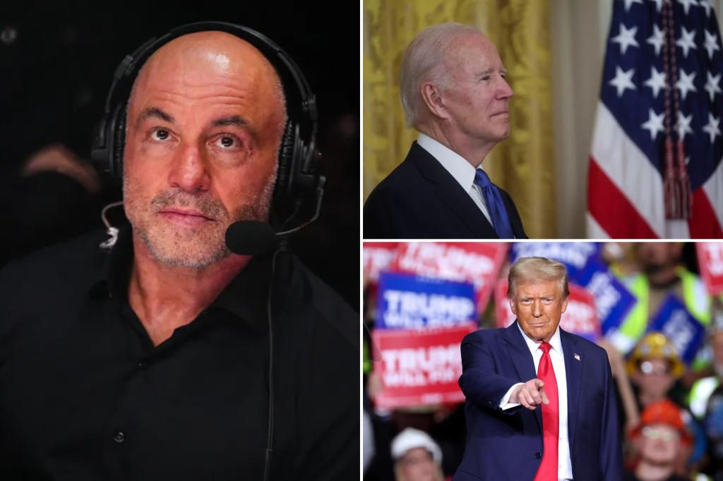 Joe Rogan 'guarantees Biden voted for Trump': Prez 'hasn't been happier in his life'